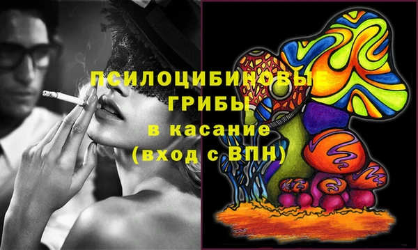 Альфа ПВП Алексин