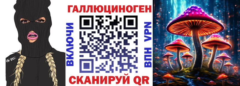 наркотики Лодейное Поле Псилоцибиновые грибы Psilocybe